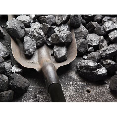 Indigenous Hard Coal at Rs 4000/ton | इंडिजेनस कोल in Ahmedabad | ID: 9978246173