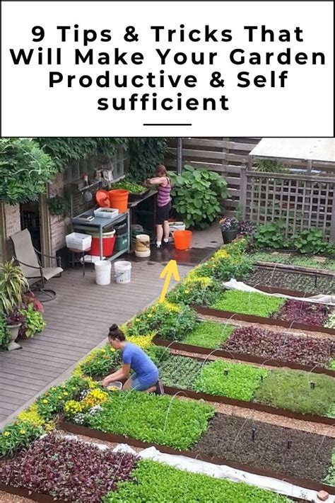 9 self-sufficiency gardening Tips & Tricks in 2020 | Garden ideas large ...