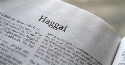 Haggai - Bible Book Chapters and Summary - New International Version