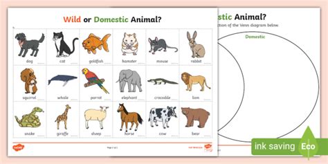 Wild or Domestic Animal? Sorting Activity (teacher made)