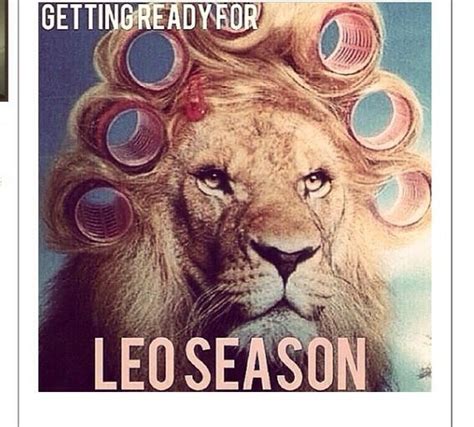 Pin on Leo | Leo season, Leo, Leo zodiac facts