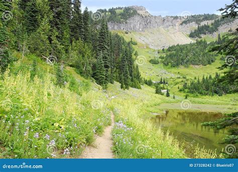 Wilderness PAthway stock photo. Image of adventure, landscape - 27328242