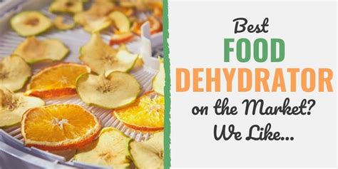 Best Food Dehydrator Guide