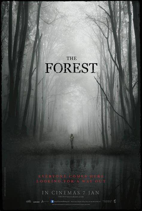 The Forest DVD Release Date April 12, 2016