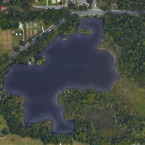 Lake Alice in Gainesville, FL (Google Maps)