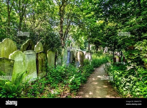 Tower Hamlets Cemetery Park High Resolution Stock Photography and Images - Alamy