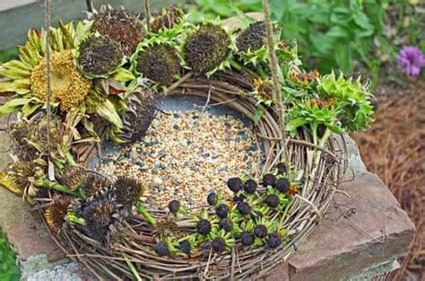 DIY Bird Feeder Wreath | Backyard Projects - Birds and Blooms