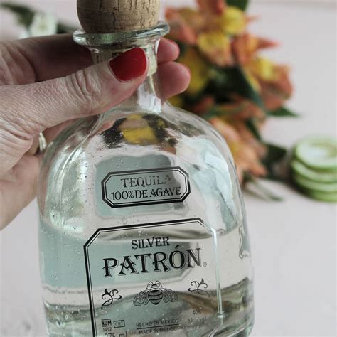 What To Mix With Patrón Tequila (35+ Cocktail Recipes & Mixer Ideas) - Homebody Eats