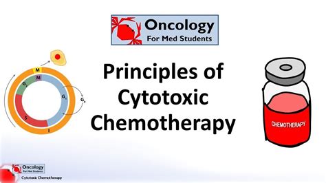 Principles of Cytotoxic Chemotherapy - YouTube