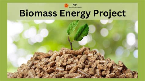 Biomass Energy Project - KIP Financial Consultancy Pvt Ltd