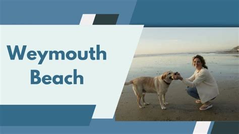 10 Best Dog Friendly Beaches in Weymouth– South West Mag