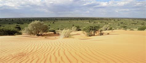 Exclusive Travel Tips for Kalahari Desert in Namibia