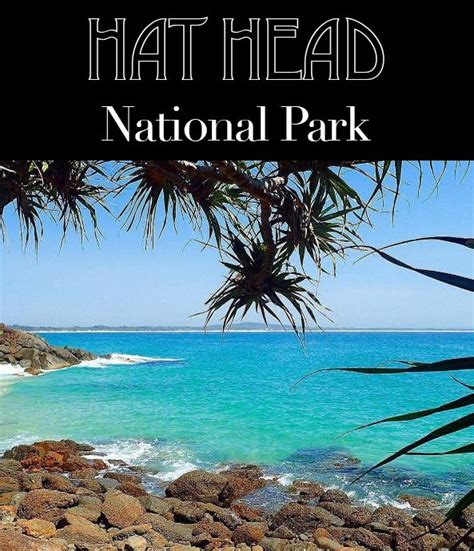 Highlights, walks and camping in Hat Head National Park, NSW, Australia. Australia Packing List ...