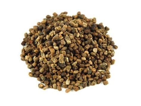 Buy Green Cardamom 100g (from green pods) Online at desertcartUAE