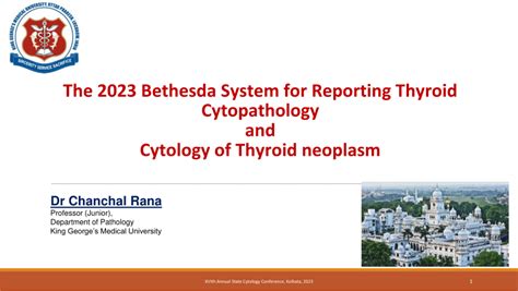 (PDF) The 2023 Bethesda System for Reporting Thyroid Cytopathology and ...