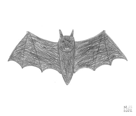 Bat Pencil Drawing by Merritt-Trainboy on DeviantArt