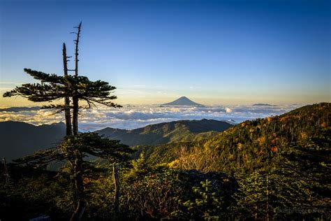 Autumn mountain | Travel tree, Landscape, Beautiful japanese gardens