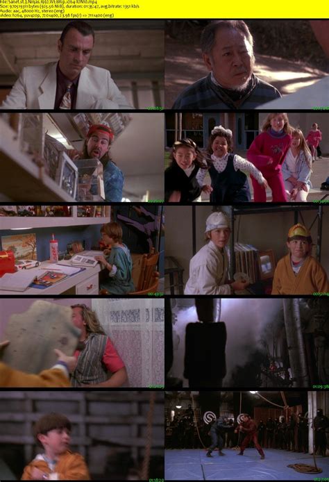 3 Ninjas 1992 WEBRip x264-ION10 - SoftArchive