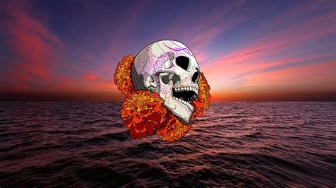 Skull, drawing, flowers, HD wallpaper | Peakpx