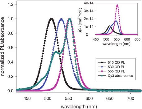 Absorbance spectrum of Cy3 dye superimposed with the PL spectra of...