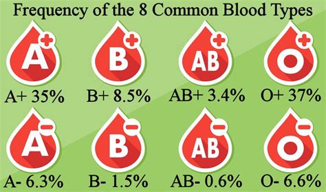 Why Are Rare Blood Types More Common Than You Think? | HealthProAdvice