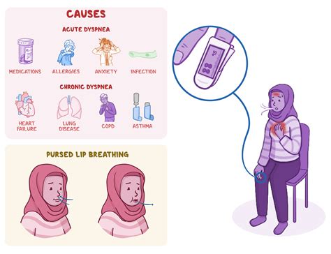 Osmosis - Dyspnea: What Is It, Pronunciation, Causes, Assessment, Treatment, and More