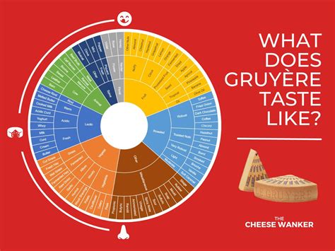 What does Gruyère Cheese Taste Like? (Authentic Flavour Wheel)