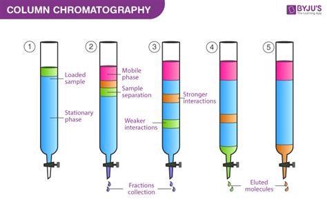 Chromatography Principle and its Types - Definition, Principle, Types, Differential Extraction ...