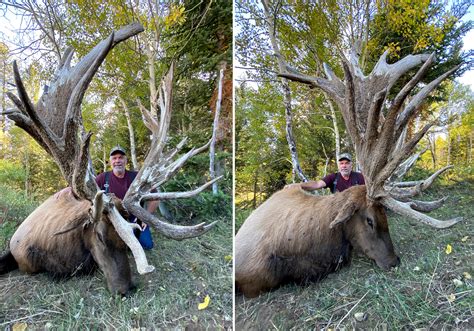 High-Fence Bull Elk Could Break an SCI World Record | Outdoor Life