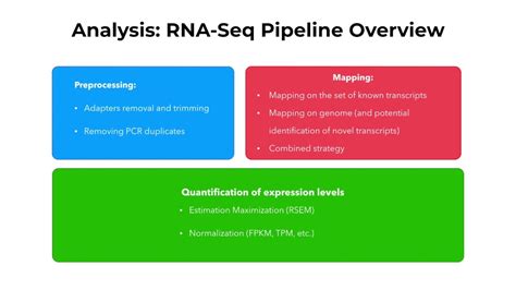 Transcriptomics 1: Summary - YouTube