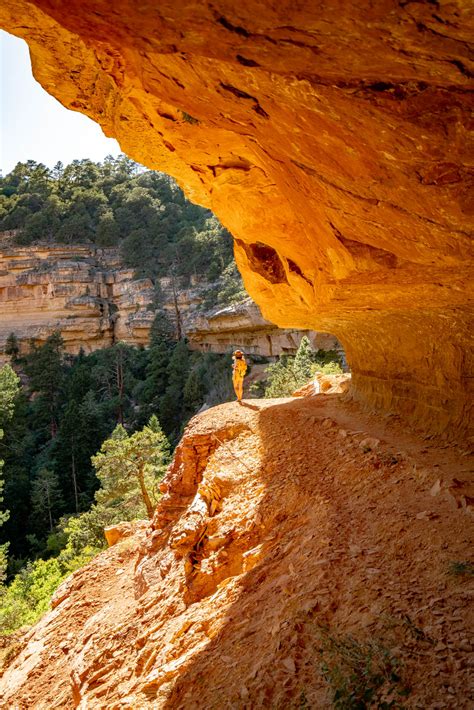 5 BREATHTAKING Grand Canyon NORTH RIM HIKES (+Tips)