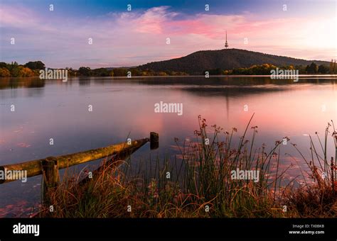 Sunrise over Black Mountain - Canberra - Australia Stock Photo - Alamy