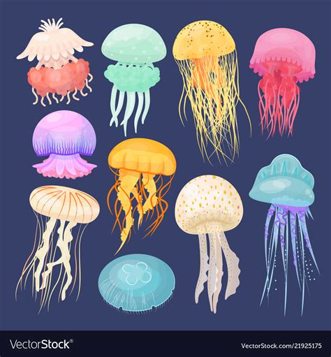 Jellyfish Guide * Lou's Views