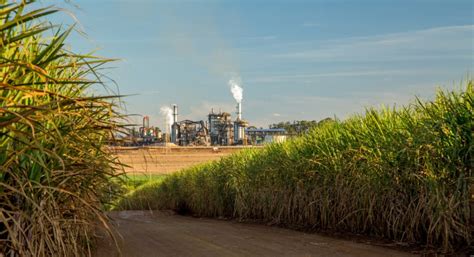 Brazil steps up sugar production and exports - Agência de Notícias ...