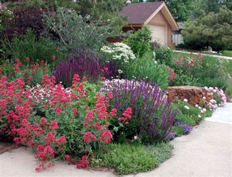 Best Xeriscape Landscaping Colorado Inspirations 292 | Xeriscape landscaping, Xeriscape, Yard ...