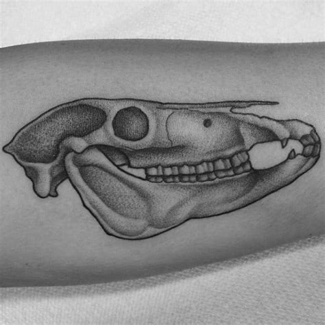 60 Animal Skull Tattoo Designs For Men - Wild Ink Ideas