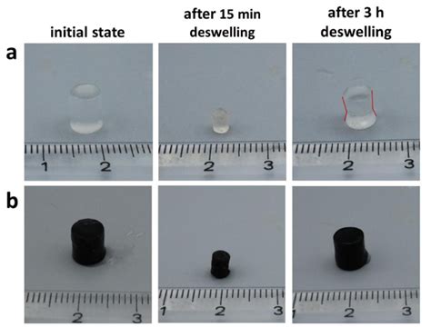 Figure S4: Photographs of (a) PNIPAM-structured and (b) PNIPAM-EG (0.35 ...