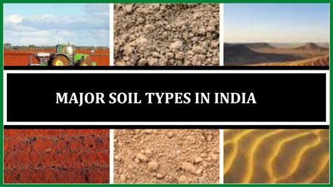 Major Soil Types in India | Alluvial, Black, Red, Laterite, Peaty ...