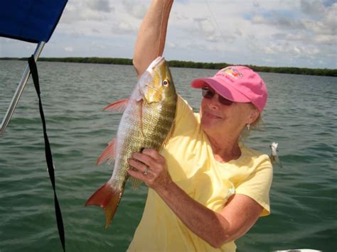 Fishing in a Chum Line - SkyAboveUs