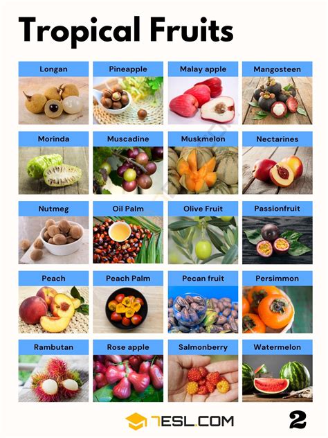 Tropical Fruits: List of 165+ Delicious Tropical Fruits with Facts • 7ESL