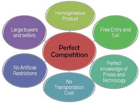 What is Perfect Competition Market Structure? definition, meaning and features - Business Jargons