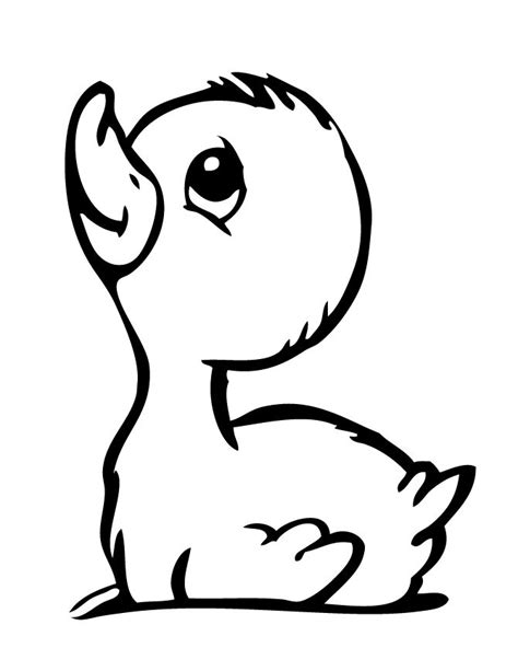 Duckling Drawing at GetDrawings | Free download