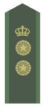 Sweden Swedish Army ranks land ground forces combat field uniforms ...