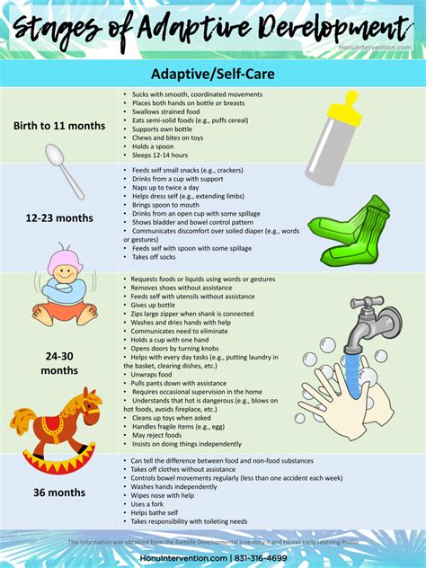 Stages of Adaptive Development