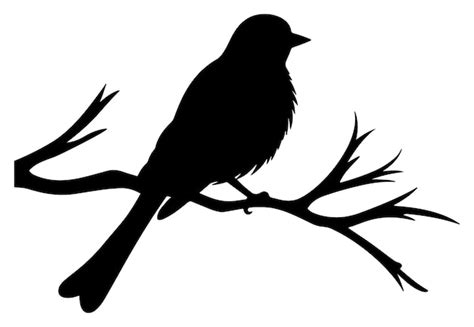 Premium Vector | Bird on a tree branch silhouette