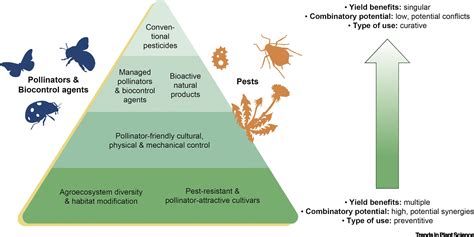 ENVIRONMENTAL IMPLICATIONS | Synthetic Biology