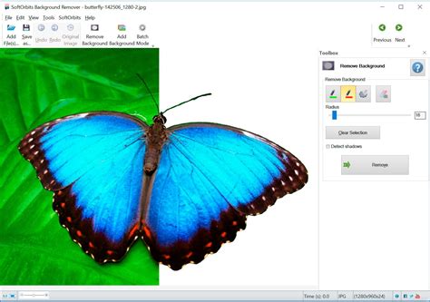 Automatic Photo Background Remover Software - Free Download For Pc