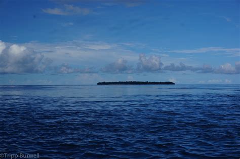 Photos: Bunaken, Indonesia – Monkey Ropes