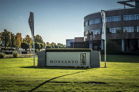 World leader in plant biotechnology Monsanto Company