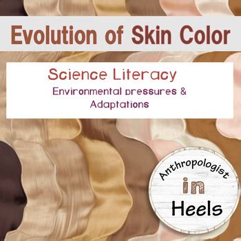 Evolution of Skin Color by Anthropologist In Heels | TPT